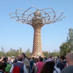 EXPO 26SET ALBERO VITA