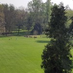 2017 aprile Monza Villa Reale 1