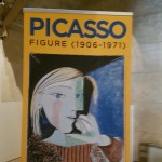 2017 marzo Verona Picasso