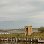 2019 ottobre Delta del PO 7