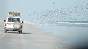 OMAN Al Khaluf LOCAND