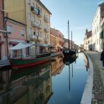 2020 ottobre Valli di Comacchio 2