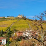 novembre 2021 Barolo 7