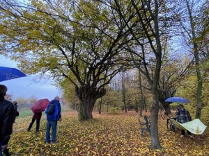 BOSCO SPAGGIARI 13112021 D