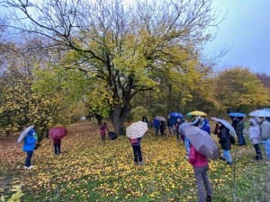 BOSCO SPAGGIARI 13112021 H