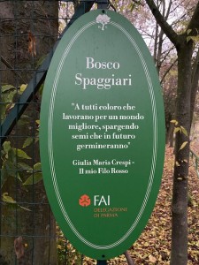 BOSCO SPAGGIARI 13112021 M