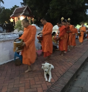 Tailandia e Laos