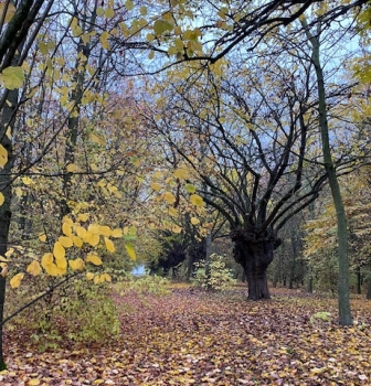 Visitiamo il BOSCO SPAGGIARI